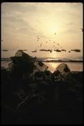 256098 Lobster Cages On Beach A4 Photo Print