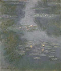 257 Water Lilies 1908 A4 Photo Print
