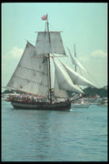 257002 Single masted Schooner A4 Photo Print