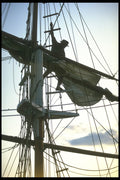257009 The Black Pearl, Skipper In The Rigging A4 Photo Print