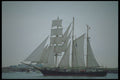 257032 The Pallada, Full rigged Ship, Russia A4 Photo Print