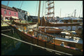 257036 The Compass Rose, USA A4 Photo Print