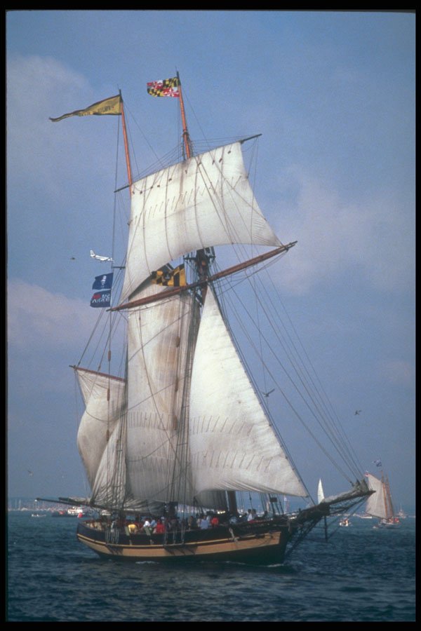 257041 Pride Of Baltimore A4 Photo Print