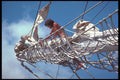 257043 Fantome, Repairing Rigging A4 Photo Print