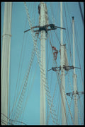 257044 Windjammer Cruises, Four masted Ship, Bahamas A4 Photo Print