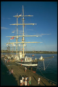257047 Belle Blonde, Canada A4 Photo Print