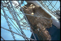 257052 Figure Head On The Fantome A4 Photo Print
