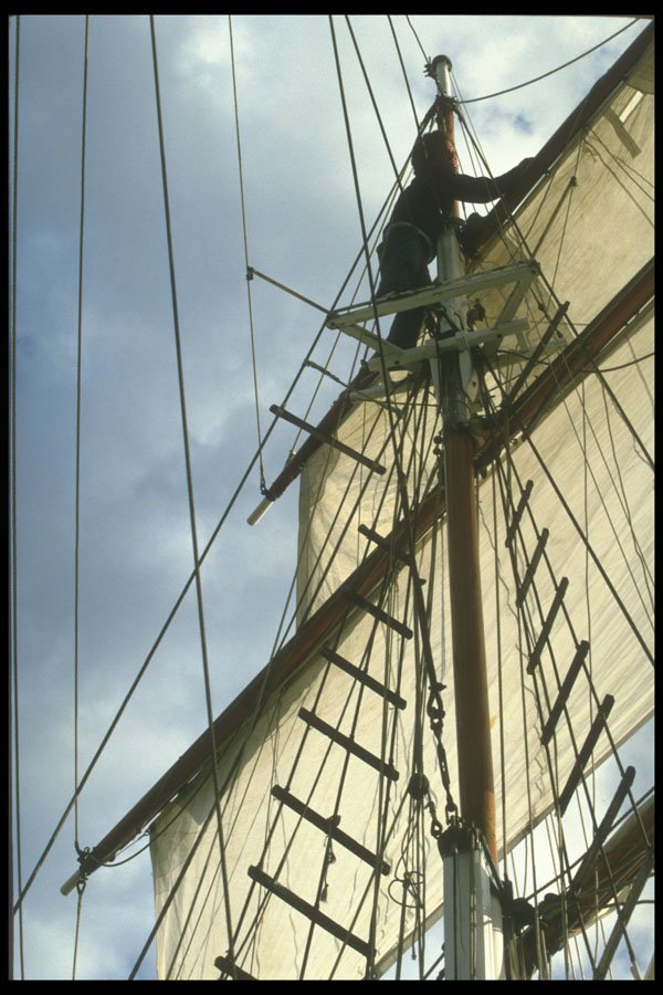 257057 American Sail Training Ass., Black Pearl A4 Photo Print