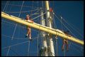 257059 Rigging The Belle Blonde, Canada A4 Photo Print