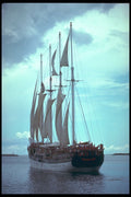 257065 The Fantome A4 Photo Print