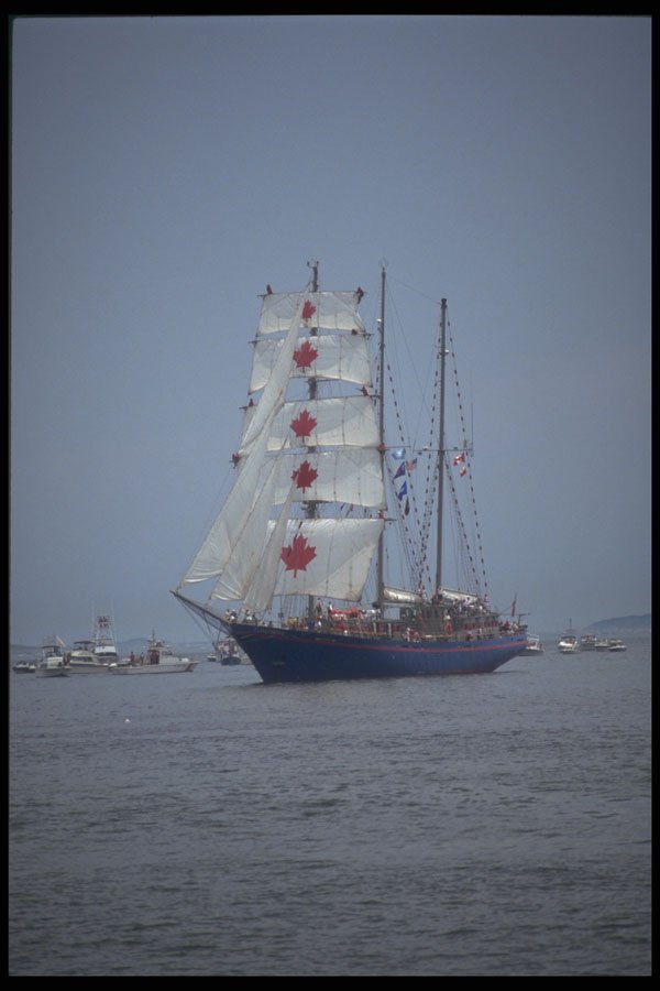 257079 Concorida, Three masted Ketch, Canada A4 Photo Print