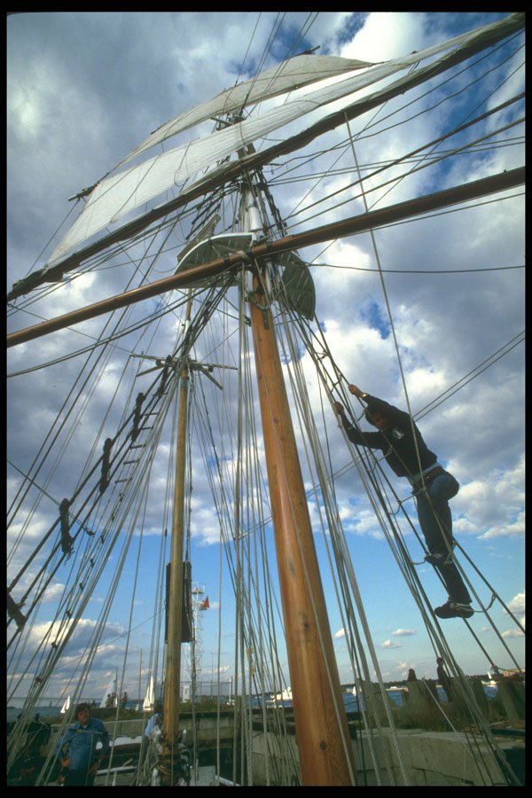 257081 The Black Pearl, Sailor In The Rigging A4 Photo Print