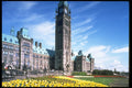 258024 Parialment Buildings With Tulips, Ottawa, Ontario A4 Photo Print