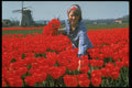 258054 Tulip Field With Girl, Holland A4 Photo Print