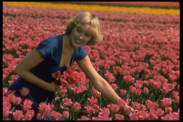 258059 Tulip Fields And Girl, Holland A4 Photo Print
