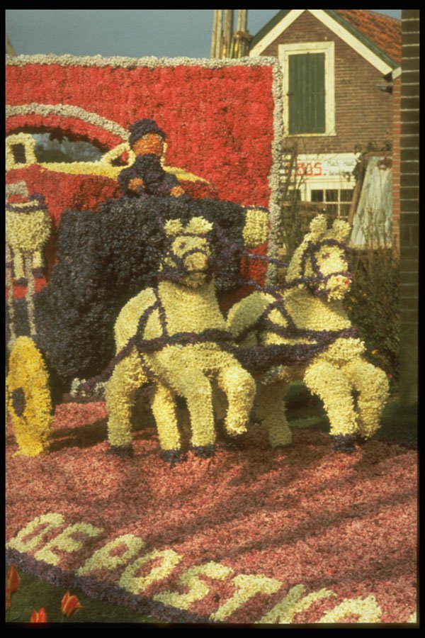 258061 A Holland Mosaic A4 Photo Print
