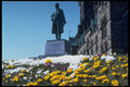 258083 Crocuses At Parliament Buildings, Ottawa A4 Photo Print
