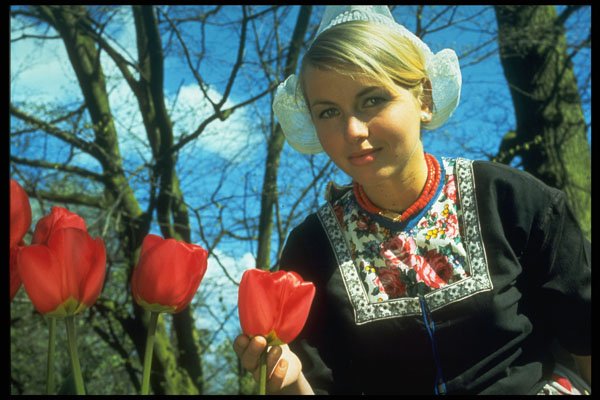 258089 Dutch Girl With Tulips, Holland A4 Photo Print