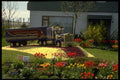 258098 Holland Flowers A4 Photo Print