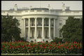 259003 White House And Red Flowers A4 Photo Print