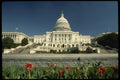 259004 Capitol Building A4 Photo Print