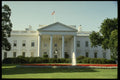 259016 The White House A4 Photo Print