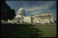259021 U.S. Capitol And Senate Building A4 Photo Print