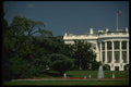 259047 The White House A4 Photo Print