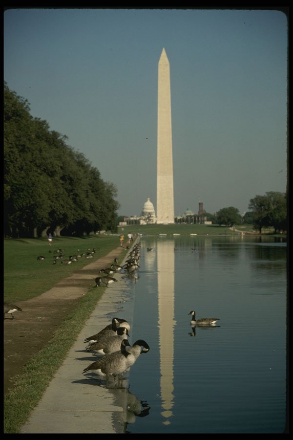 259053 Washington Monument And Reflecting Pool A4 Photo Print