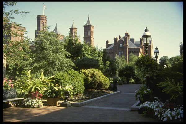 259072 Garden At Back Of Smithsonian Museum A4 Photo Print