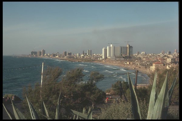 260003 Mediterranean Coastline, Israel A4 Photo Print