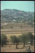 260007 View From Shepherds Fields, Israel A4 Photo Print