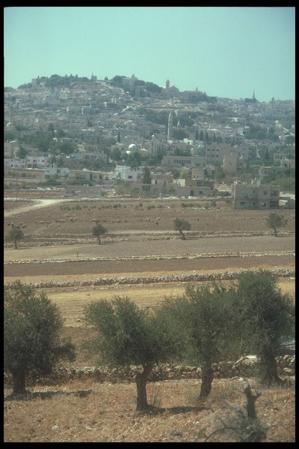 260007 View From Shepherds Fields, Israel A4 Photo Print