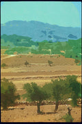 260007 View From Shepherds Fields, Israel Dup1 A4 Photo Print