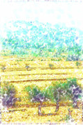 260007 View From Shepherds Fields, Israel Dup2 A4 Photo Print