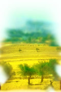 260007 View From Shepherds Fields, Israel Dup4 A4 Photo Print