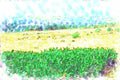 260018 Banana Plantation, Israel Dup2 A4 Photo Print