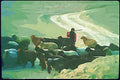260026 Shepherdess And Flock, Iran Dup1 A4 Photo Print