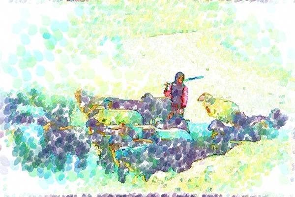 260026 Shepherdess And Flock, Iran Dup2 A4 Photo Print