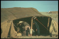 260030 Bedouin Mother And Child, Iraq A4 Photo Print