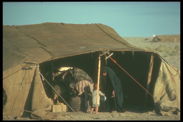 260030 Bedouin Mother And Child, Iraq A4 Photo Print