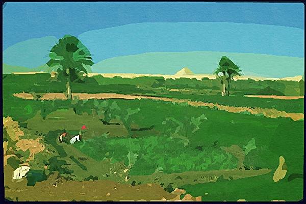 260045 Peasants Tending Fields, Egypt Dup1 A4 Photo Print