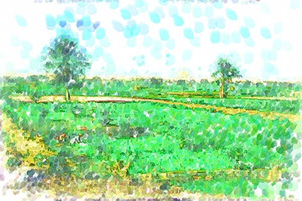 260045 Peasants Tending Fields, Egypt Dup2 A4 Photo Print