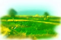 260045 Peasants Tending Fields, Egypt Dup4 A4 Photo Print