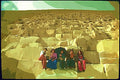 260054 School Girls, Cheops Pyramid, Egypt Dup1 A4 Photo Print