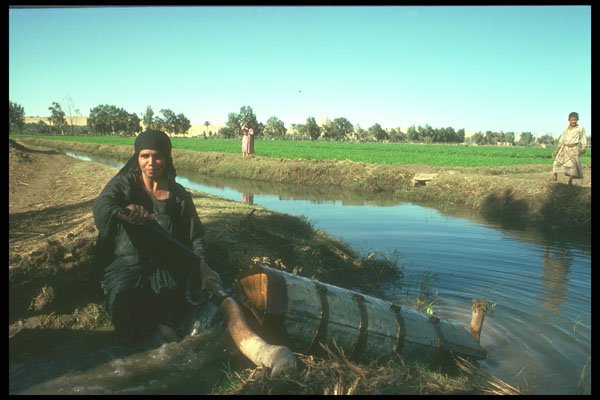 260056 Woman Using A Screw Device, Egypt A4 Photo Print
