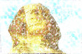 260057 Great Sphinx At Giza, Egypt Dup2 A4 Photo Print