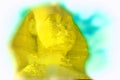 260057 Great Sphinx At Giza, Egypt Dup4 A4 Photo Print
