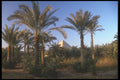 260061 Great Pyramid Of Cheops A4 Photo Print