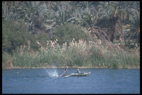 260062 Fisherman Netting Fish, Egypt A4 Photo Print